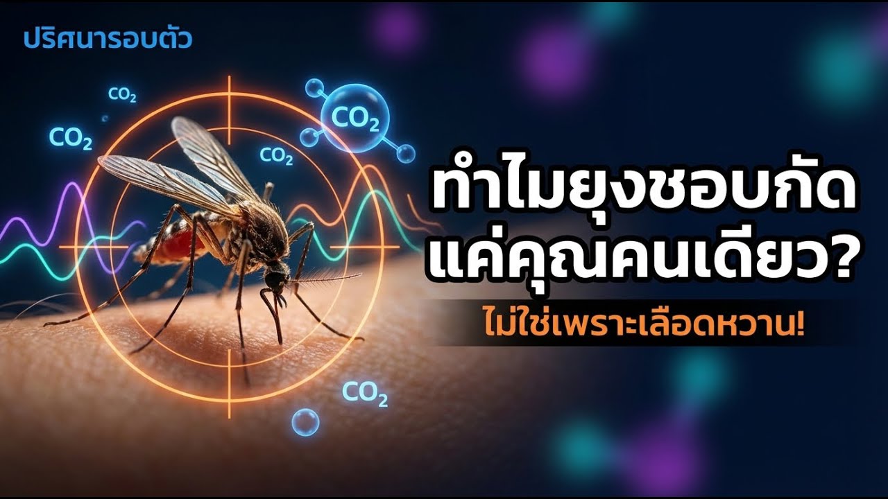 ทำไมยุงชอบกัดคุณ แต่ไม่กัดคนข้างๆ? | ไขปริศนาเรื่องยุงๆ | ปริศนารอบตัว