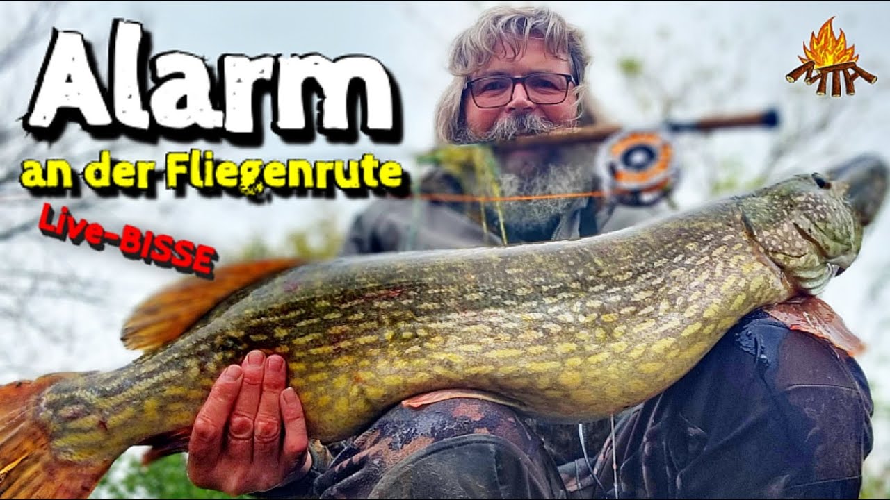Sensationelle HECHT-Bisse auf Streamer | Fliegenfischen auf HECHT