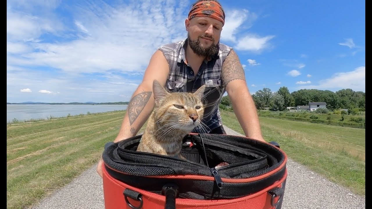 NALA cat visits new country: Slovakia