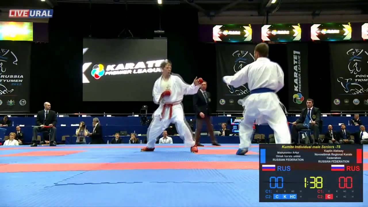 Kumite Individual male Seniors -75 Karate1 Premier League, Tyumen 2013