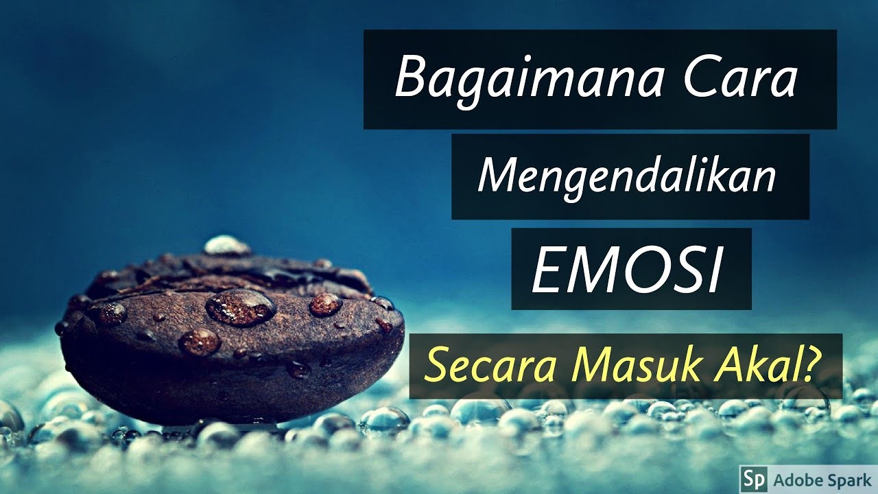 Motivasi Hidup Sukses - CARA MEREDAM EMOSI YANG PALING MASUK AKAL!