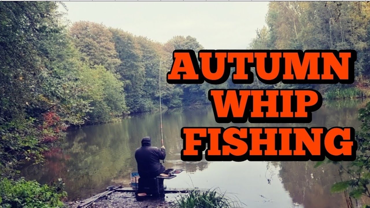 BIG Fish On Light Line