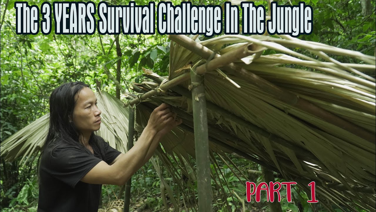 COMPILATION VIDEO: The 3 YEARS Survival Challenge In The Jungle: part 1