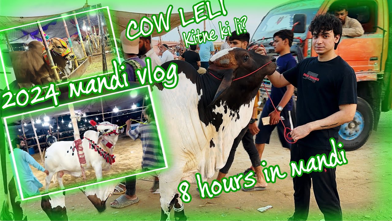 Cow Mandi vlog 2024 | Finally Bought my cow | qurbani ka janwar kitne ka liya | eid ul adha 2024