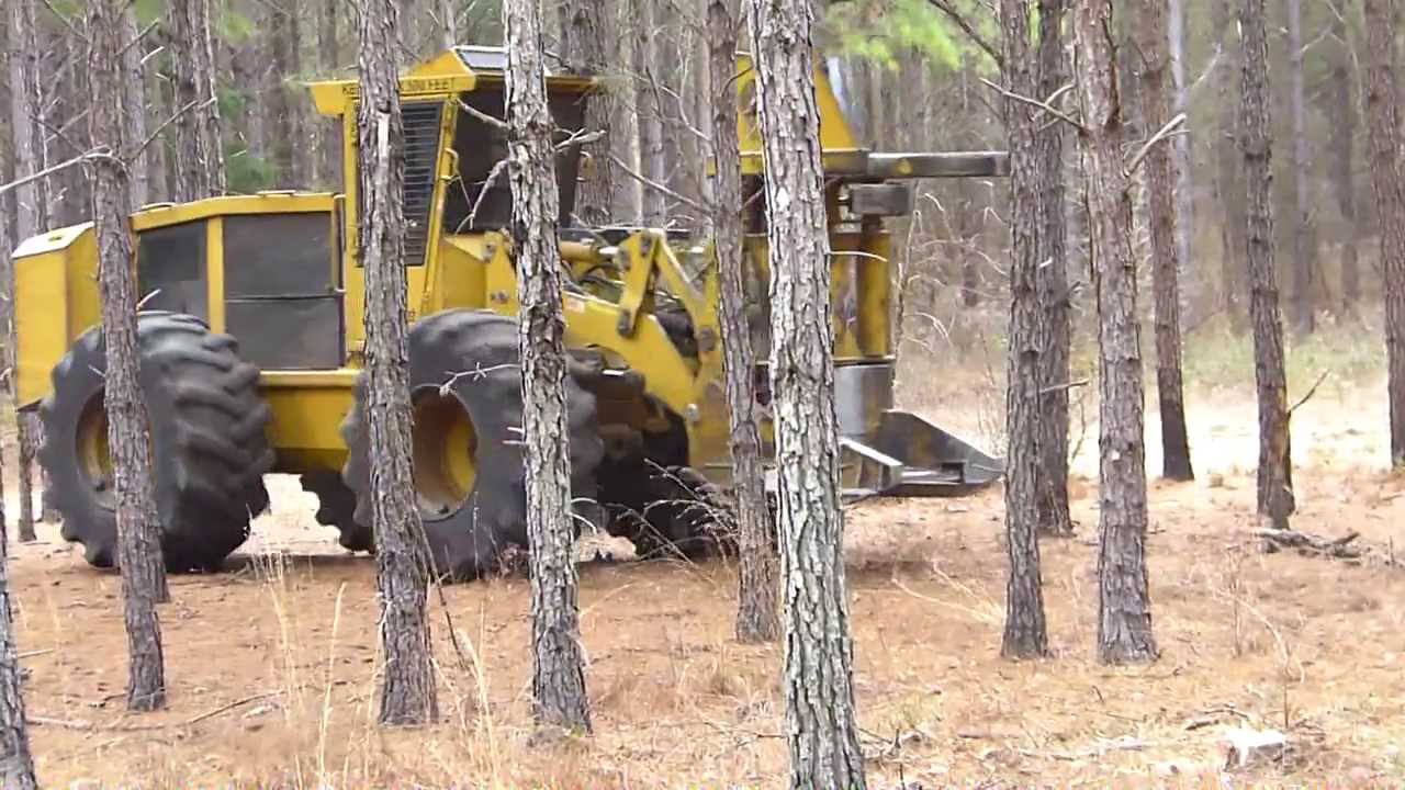 Logging operation in west central Georgia