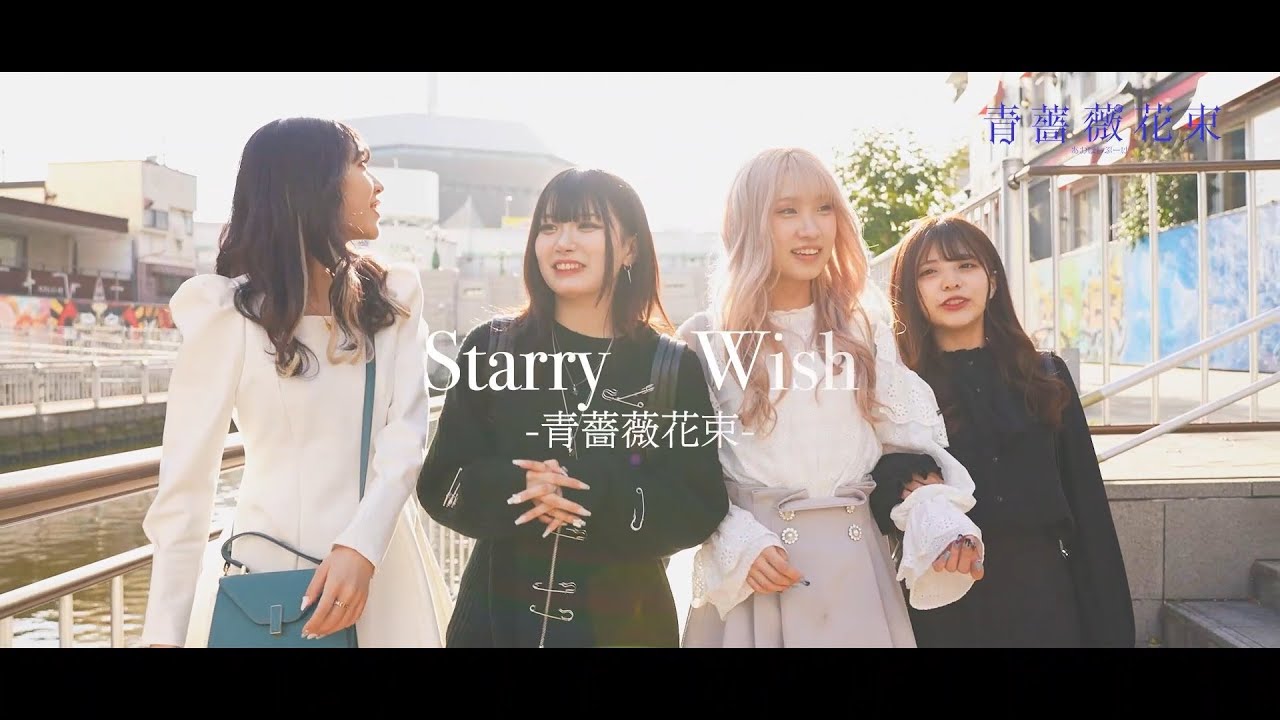 青薔薇花束 -  Starry Wish [PV］