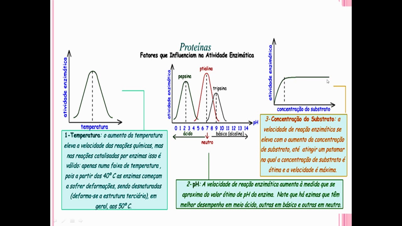 Enzimas e concentração do substrato