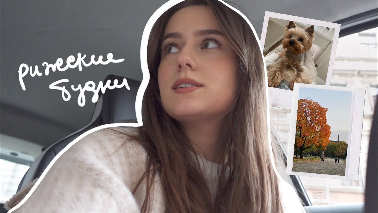Don't Get Pets | RIGA WEEKDAYS