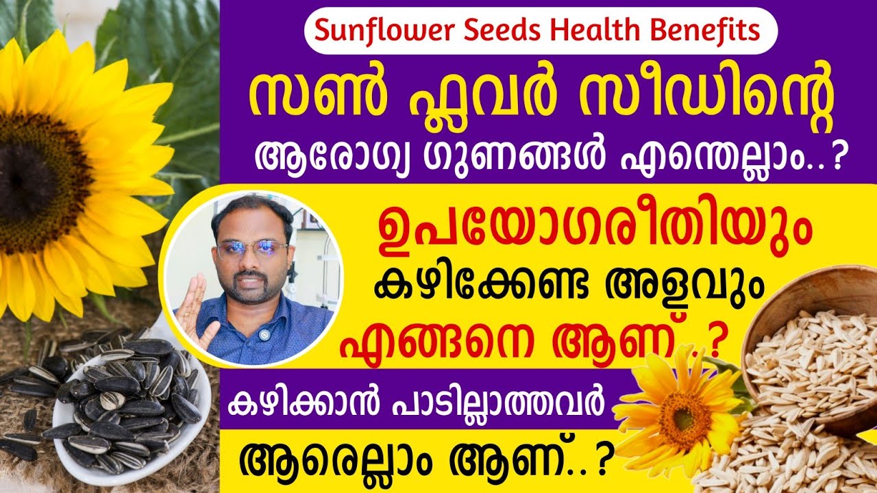 പതിവായി സൺ ഫ്ലവർ സീഡ് കഴിച്ചാൽ ശരീരത്തിന് ലഭിക്കുന്ന ആരോഗ്യ ഗുണങ്ങൾ | Sunflower seed health benefits