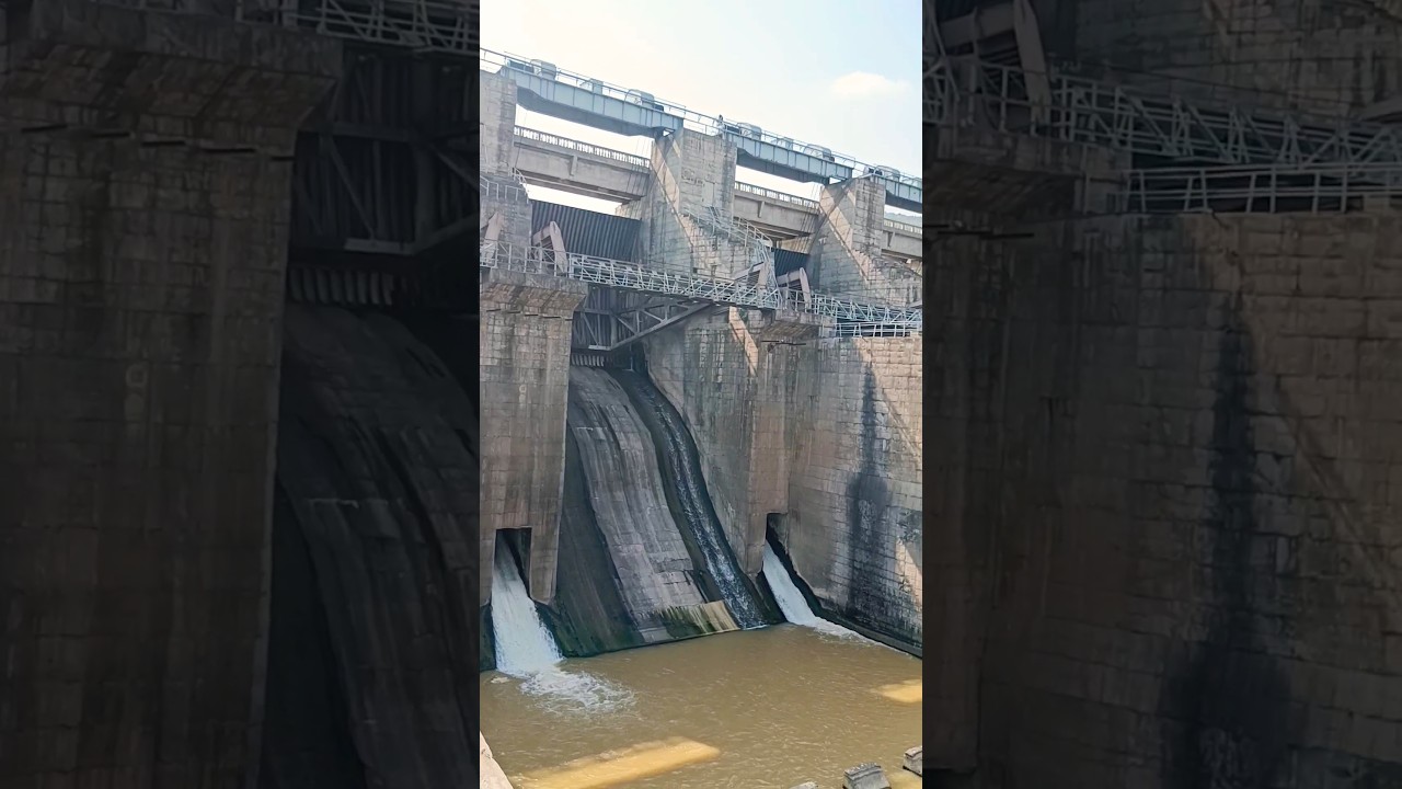 Somasila Dam || Nellore District || Tourism #dam #touristspot #travelvlogs #india