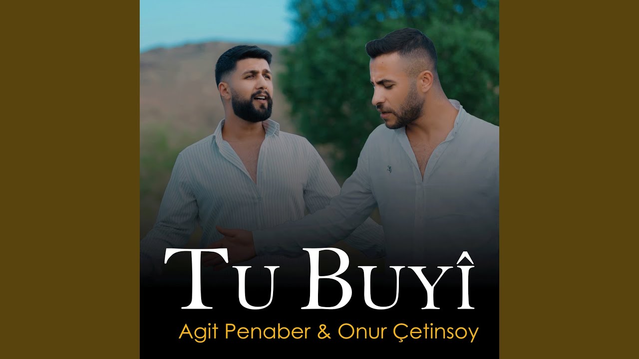 Tu Buyî