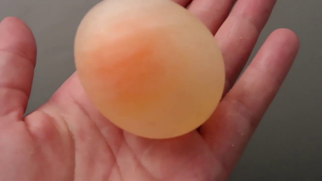 œuf  transparent