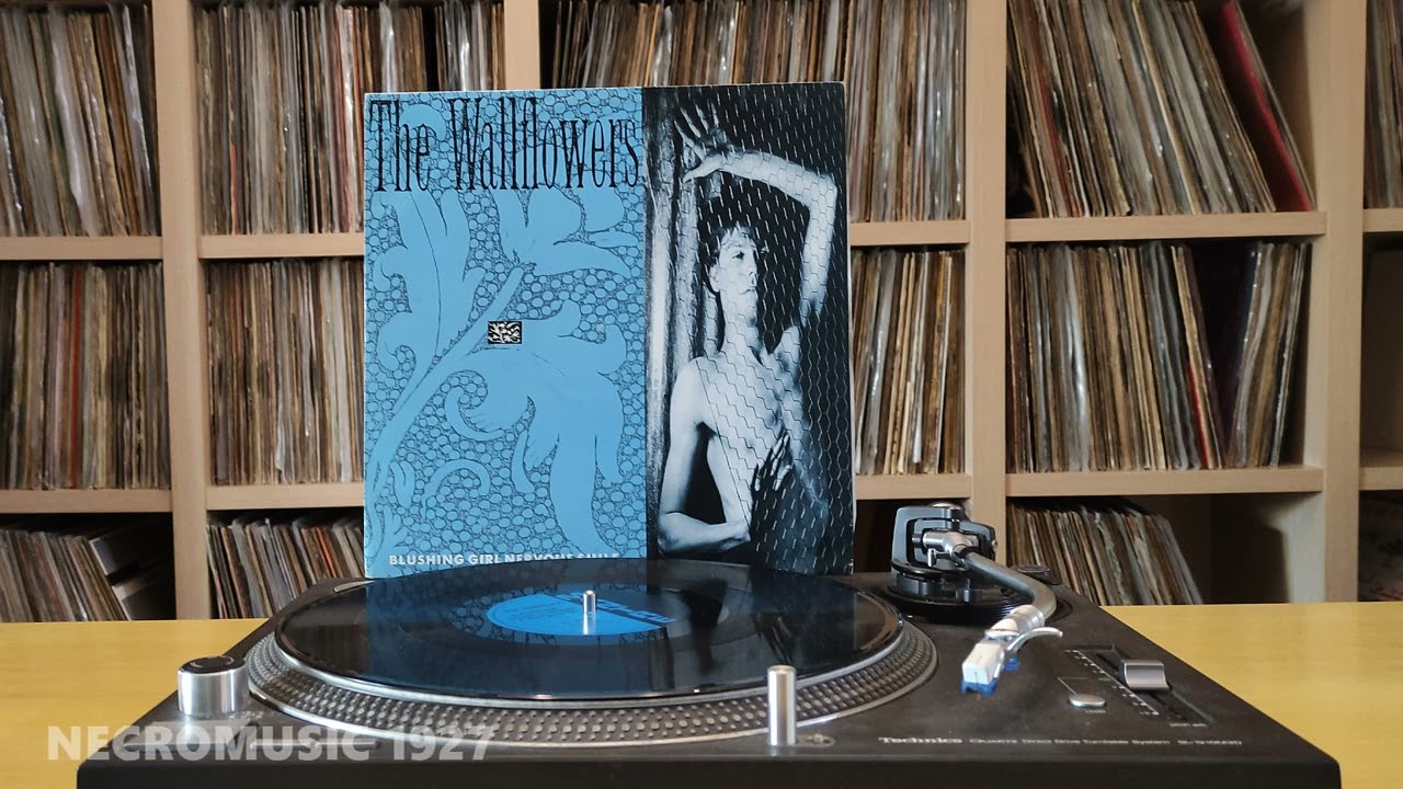 The Wallflowers | Blushing Girl Nervous Smile (12