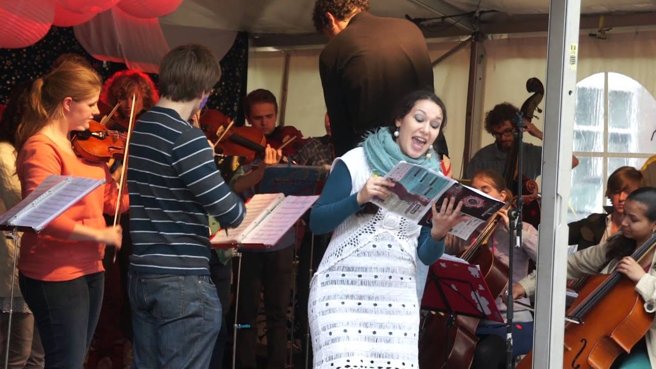 Ricciotti Ensemble & Elnara Shafigullina, Havikconcert 2013 — Blauwe trein