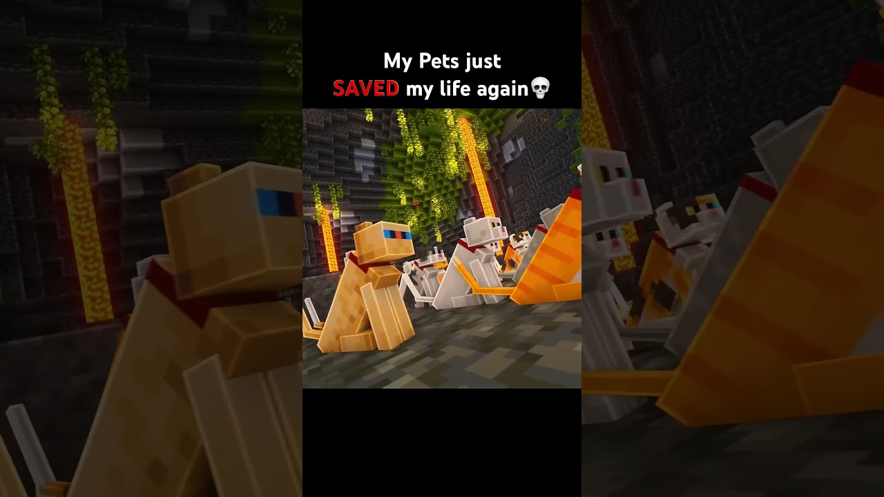 my cat saved my life Minecraft meow meow song