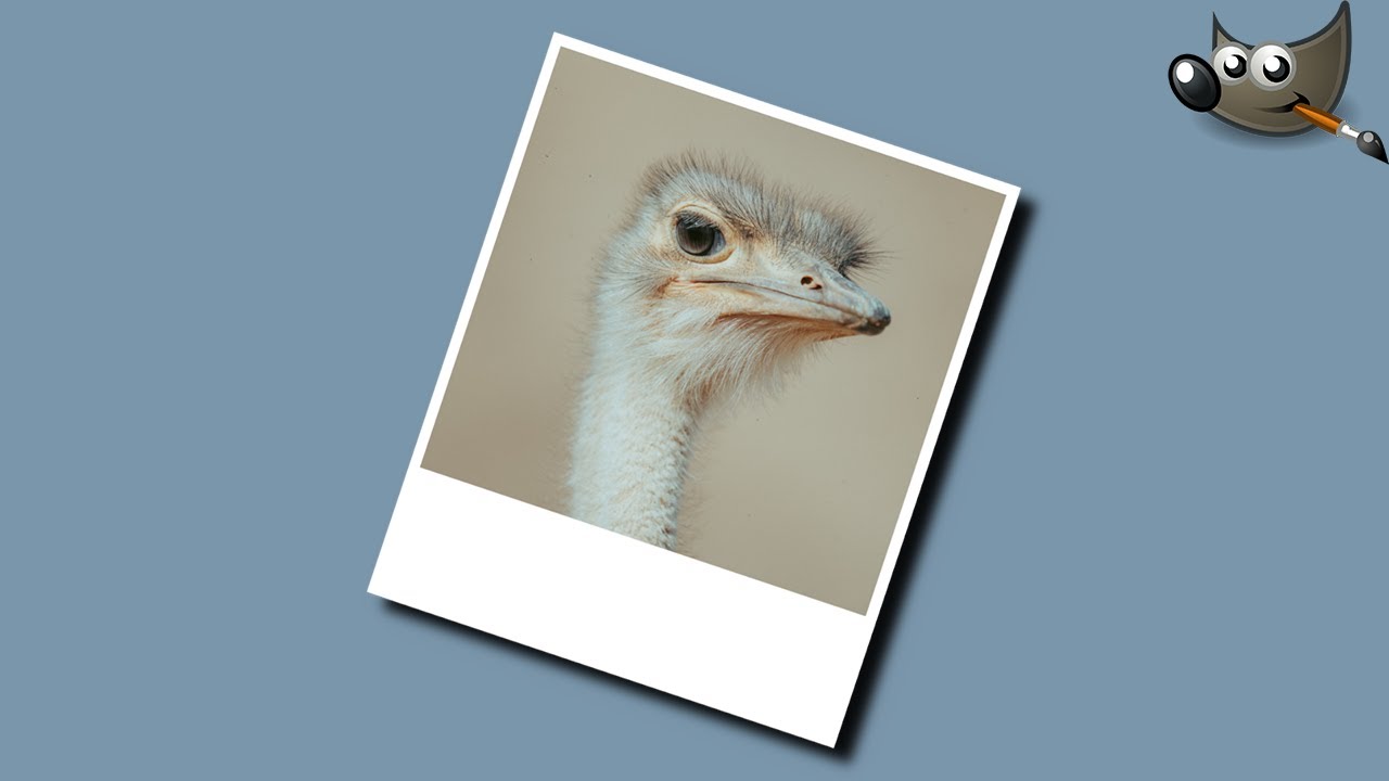 How to Create a Polaroid in Gimp