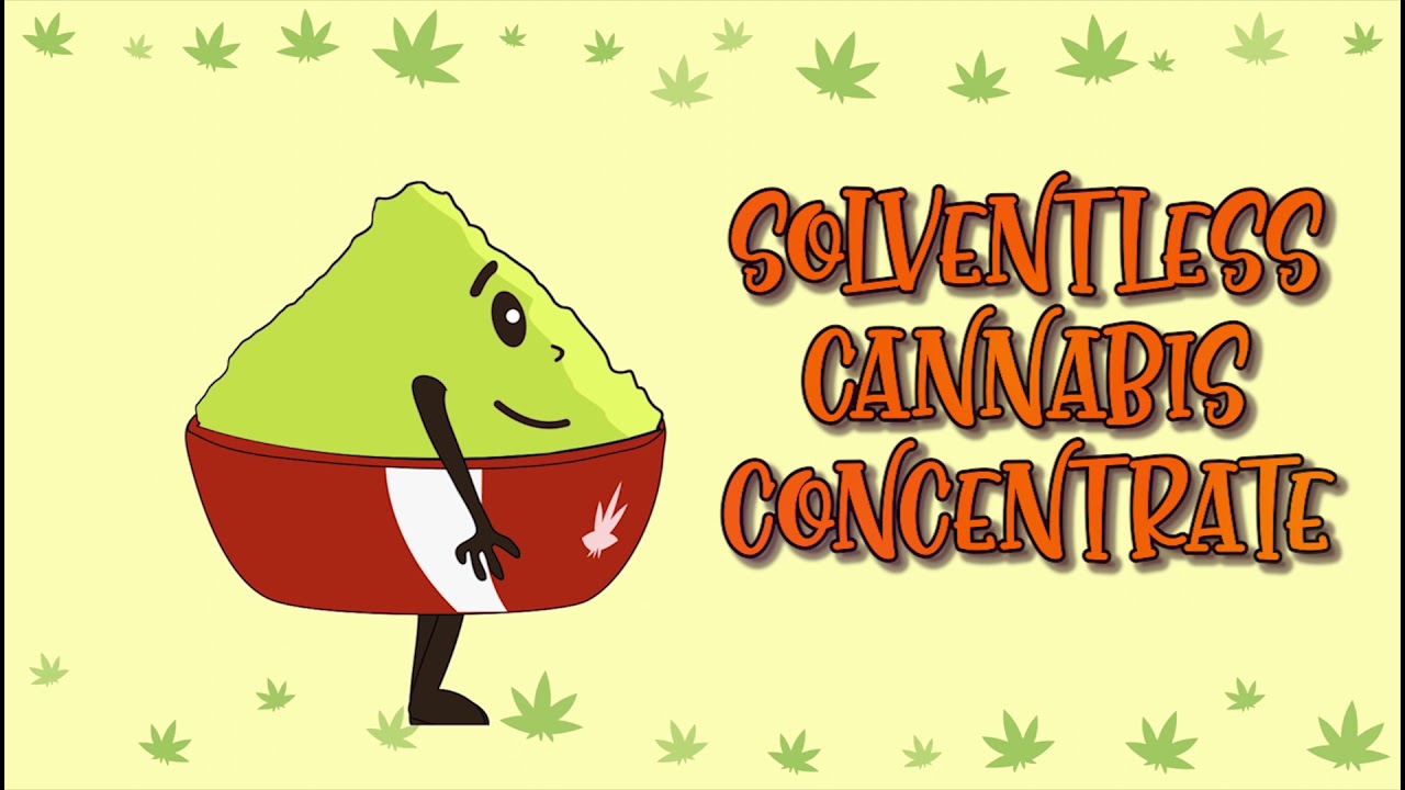 HASH CREW - Episode 'Kief, Dry Sieve Dry Sift - Solventless cannabis concentrate'