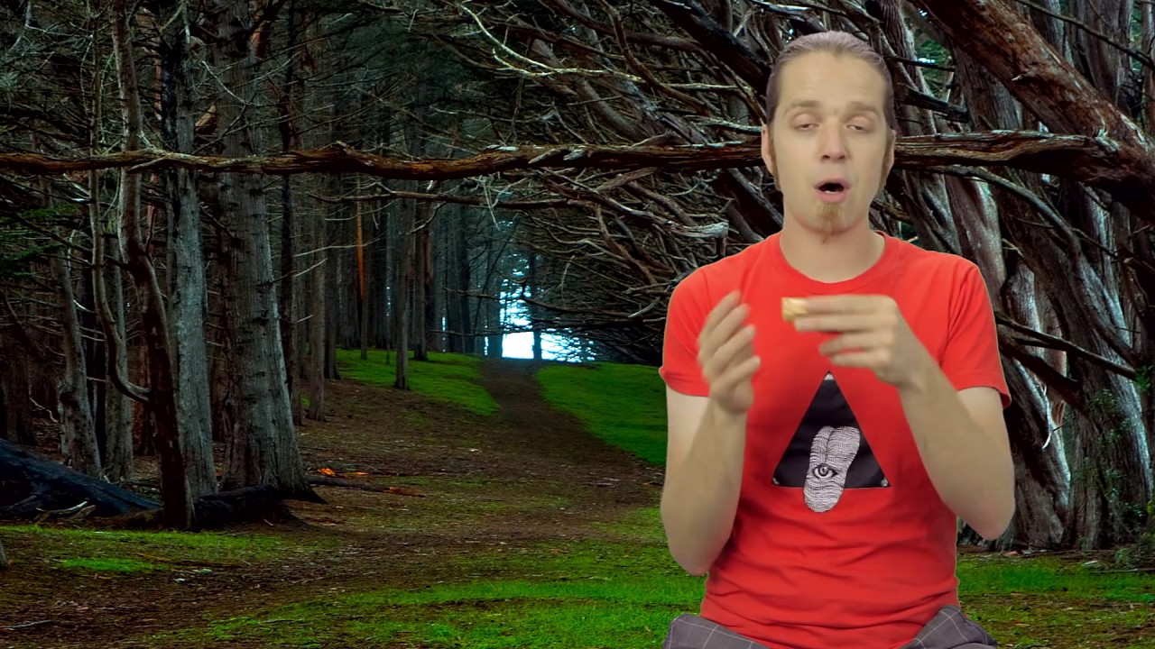 Harmonica débutant  Top 3 des positions à connaître (Forêt Magique)