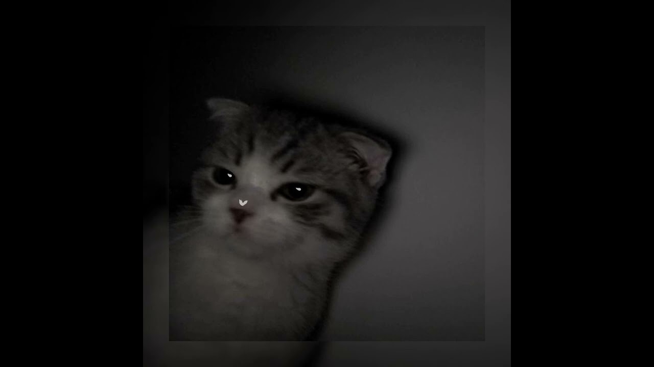 Noapte caldă (da di di da) sped up