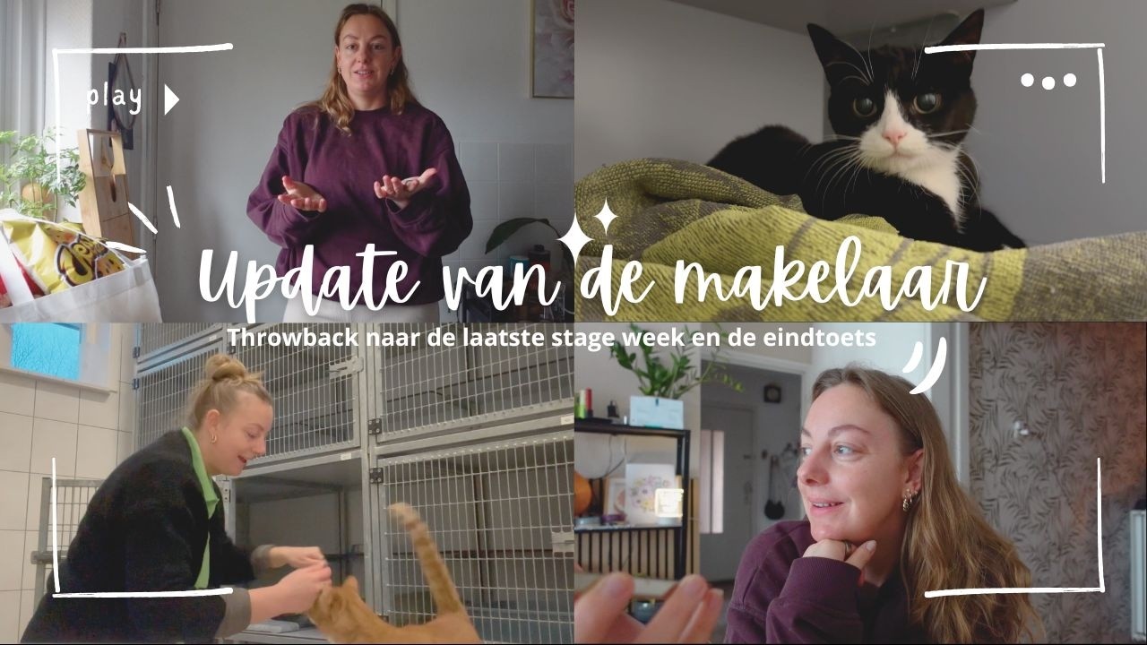 UPDATE MAKELAAR, LAATSTE ASIEL BEELDEN EN DE EINDTOETS | VLOG