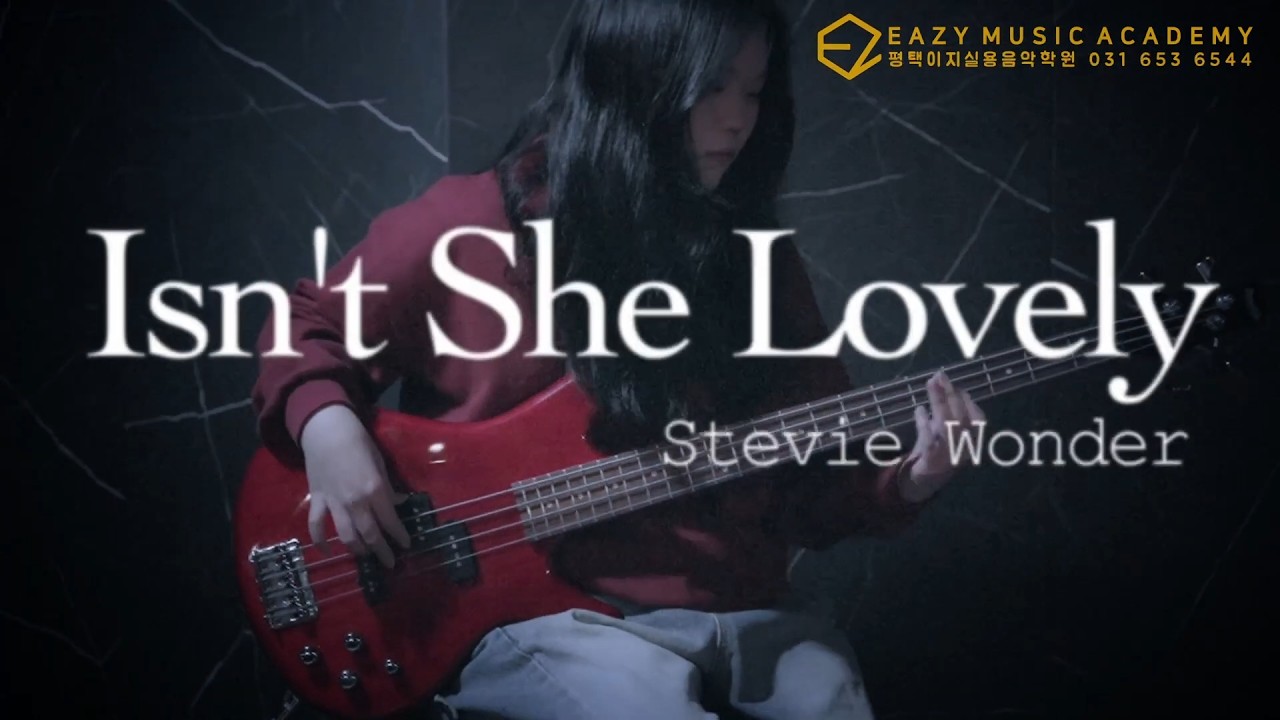 isn't she lovely - Stevie Wonder bass cover