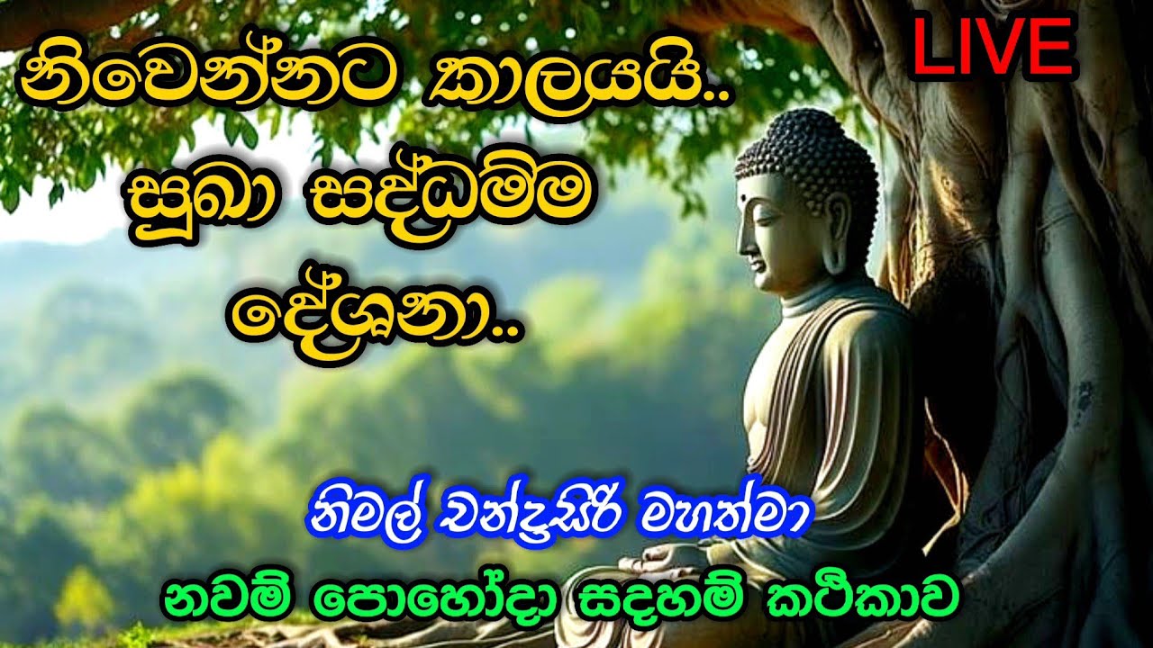 නවම් පෝදා දහම් දේශනාව  live! නිමල් චන්ද්‍රසිරි මහත්මා, සජීවී විකාශය🙏🌻🙏🌻#youtub