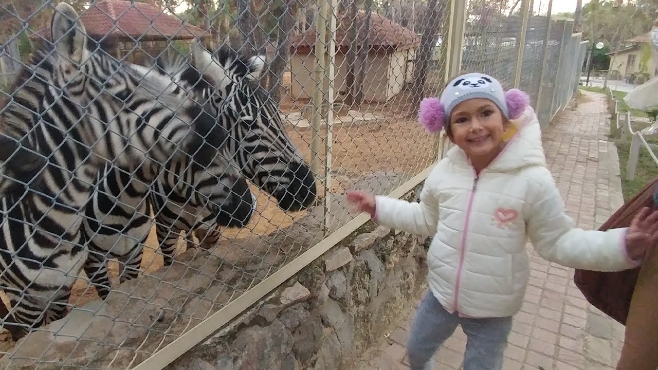 Antalya Hayvanat bahçesi gezintimiz, eğlenceli VLOG videosu