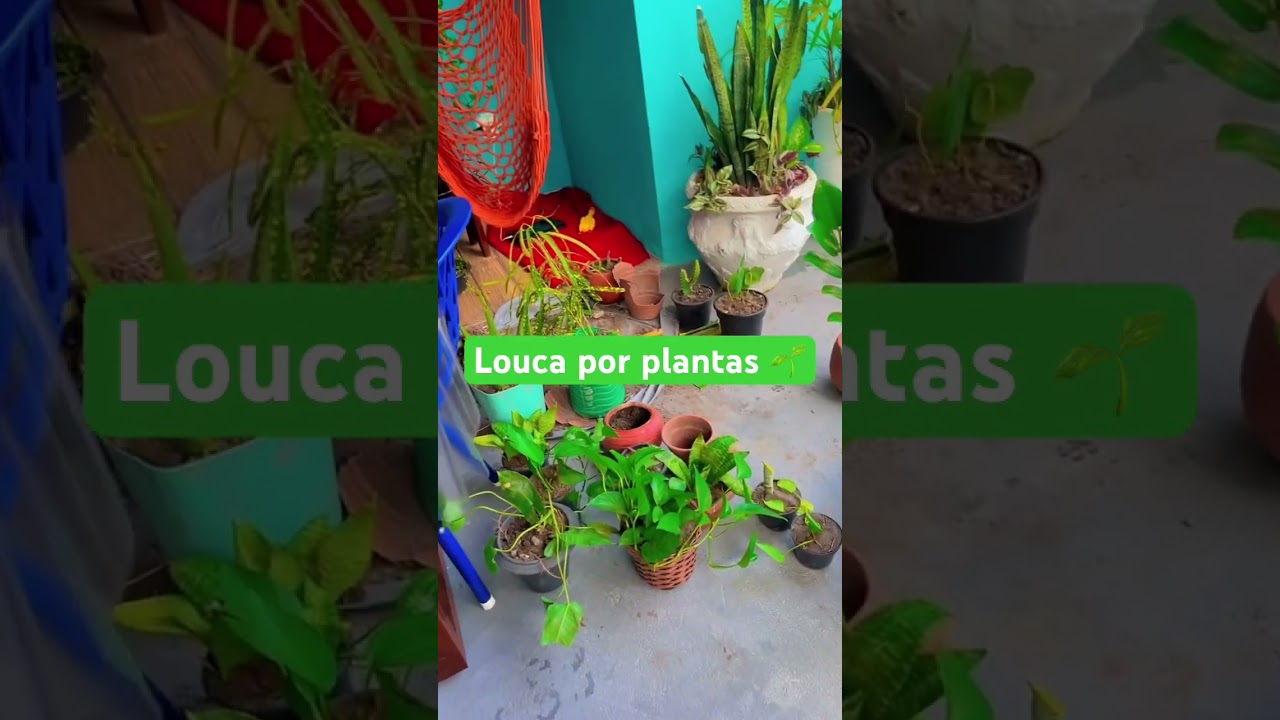 Quem ama plantas como eu🌱☺️