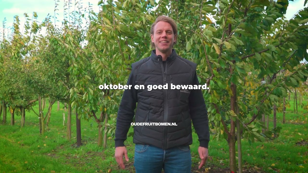 Alles over de Beurré Alexandre Lucas: Verzorging, Bestuiving & Oogsttips