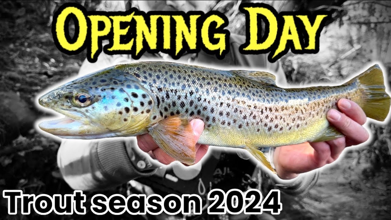 THE BEST OPENING DAY EVER! Fly Fishing for GIANT Wild Brown Trout | fly fishing for trout uk