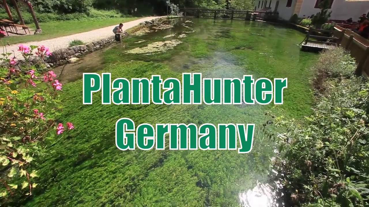 PlantaHunter Germany - Schwäbische Alb