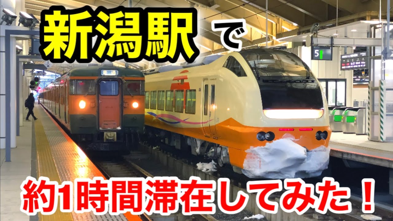 新潟駅 在来線ホームで、列車を見てきた！