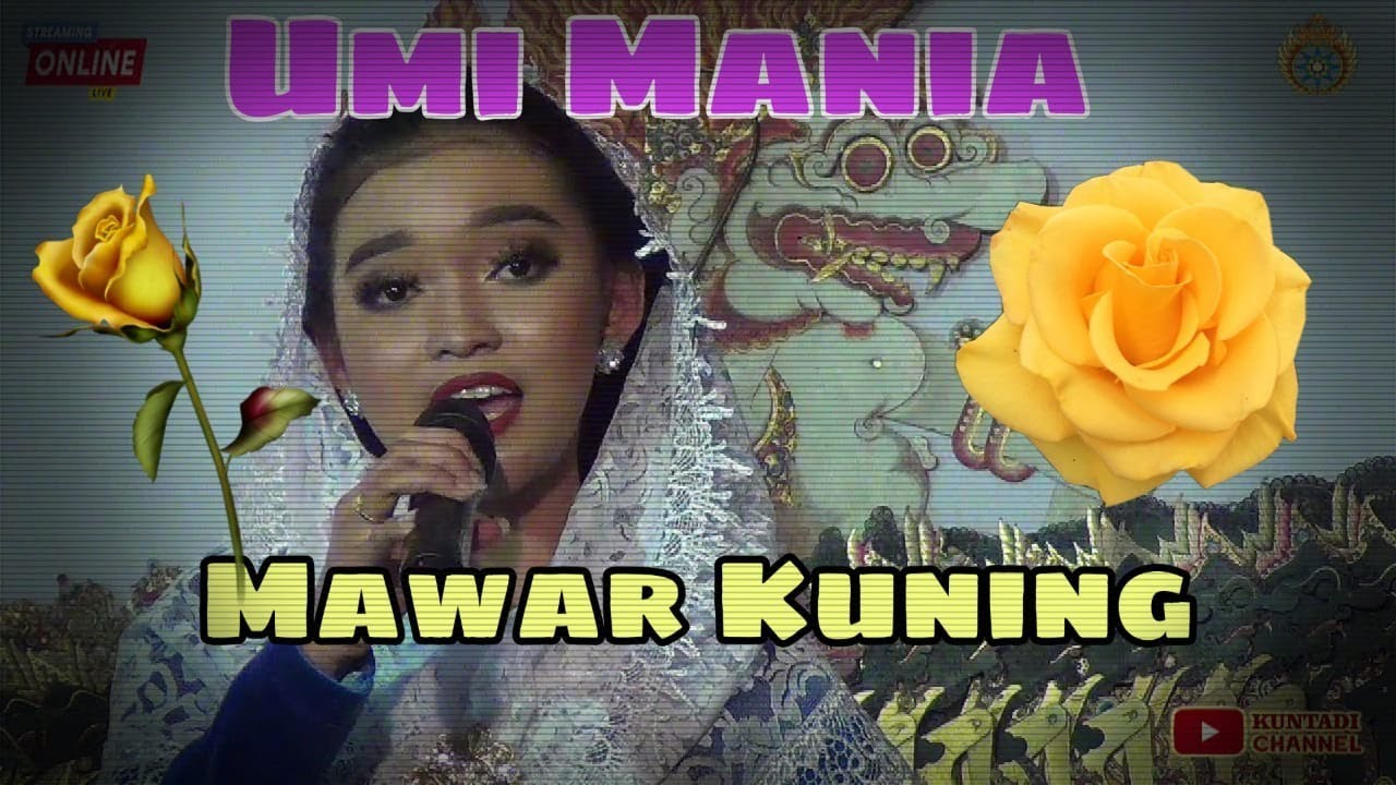 Umi Hafifah Berkerudung - Mawar Kuning