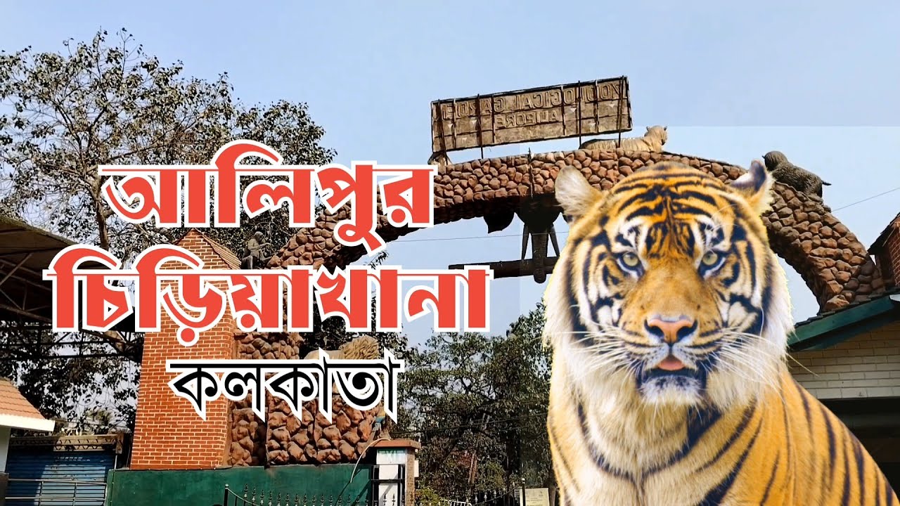 আলিপুর চিড়িয়াখানা কোলকাতা ২০২৬