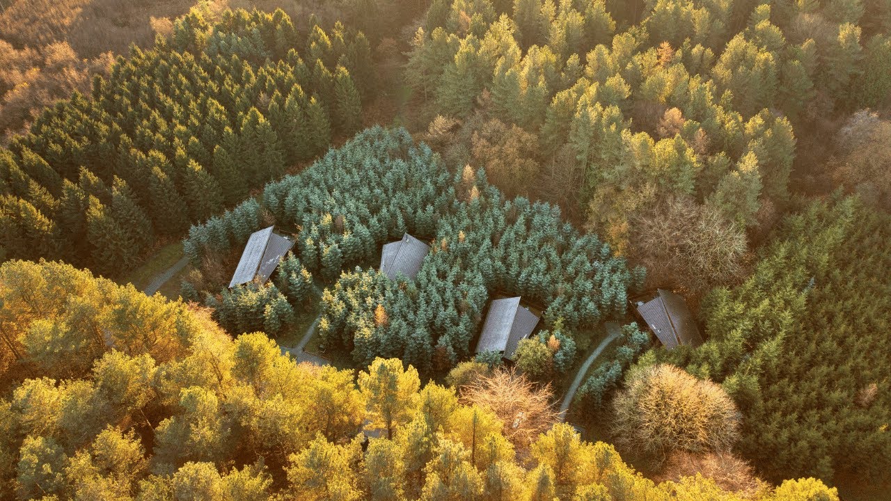 Delamere Forest, Cheshire