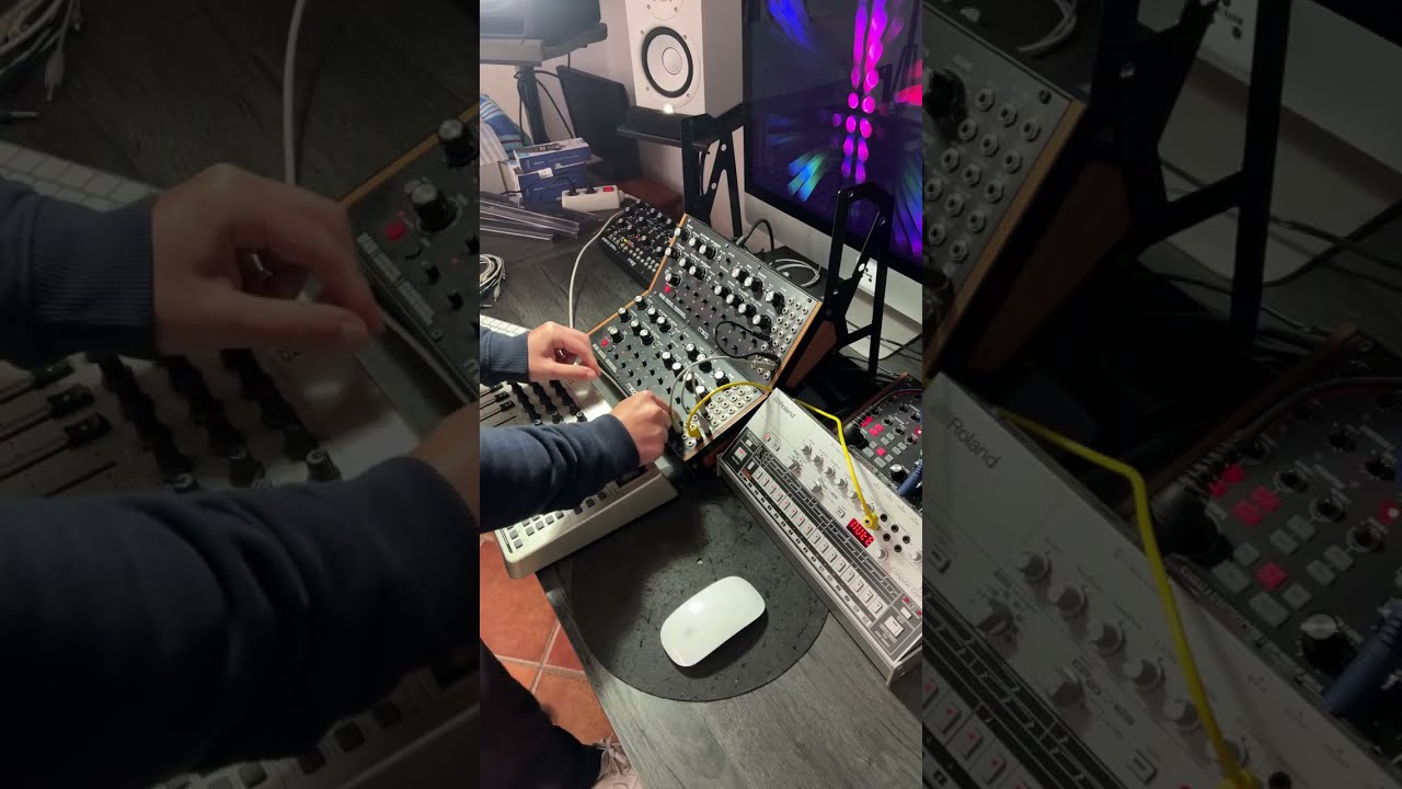 Moog DFAM TECHNO Jam from Scratch