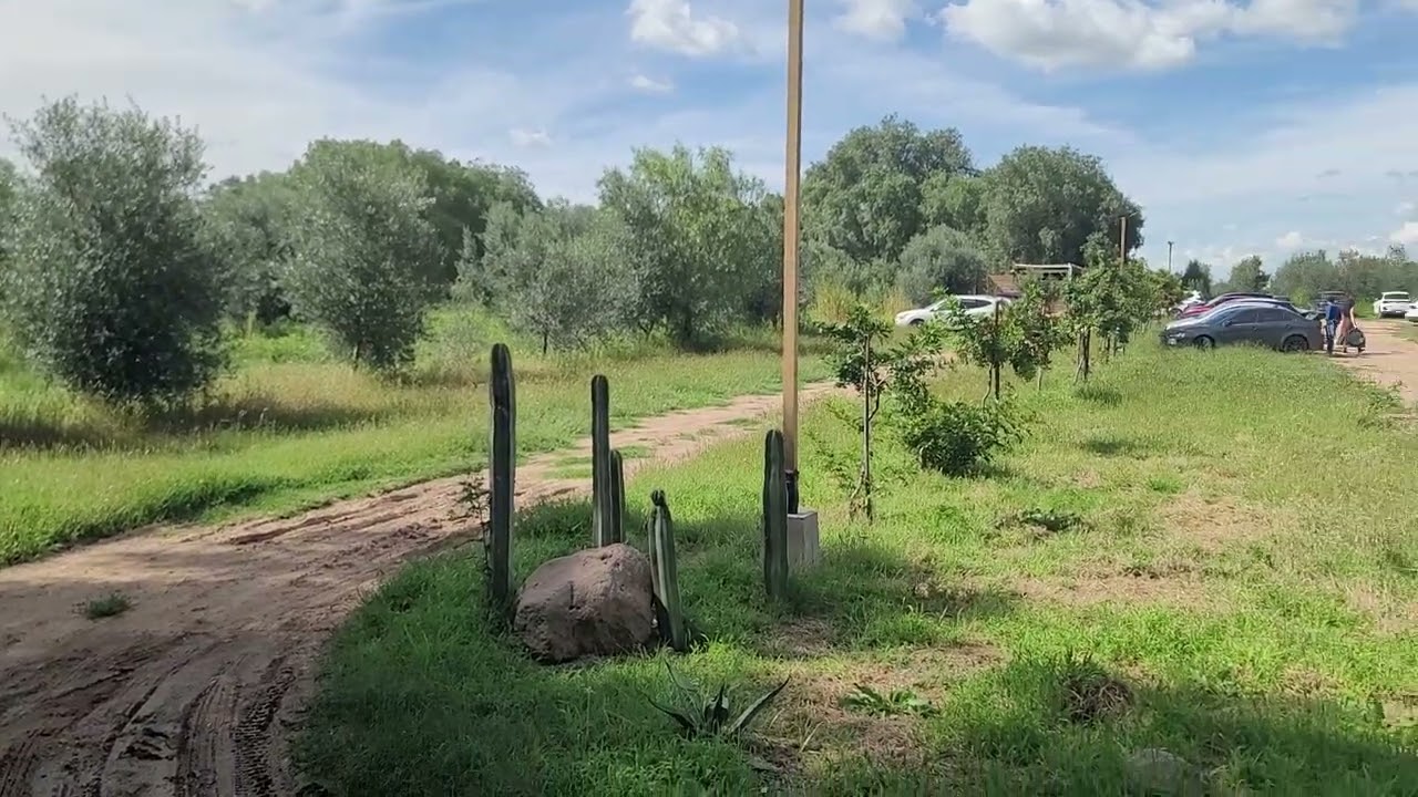 Rancho Entre Olivos Ágata: Un Paraíso Natural que Tienes que Conocer
