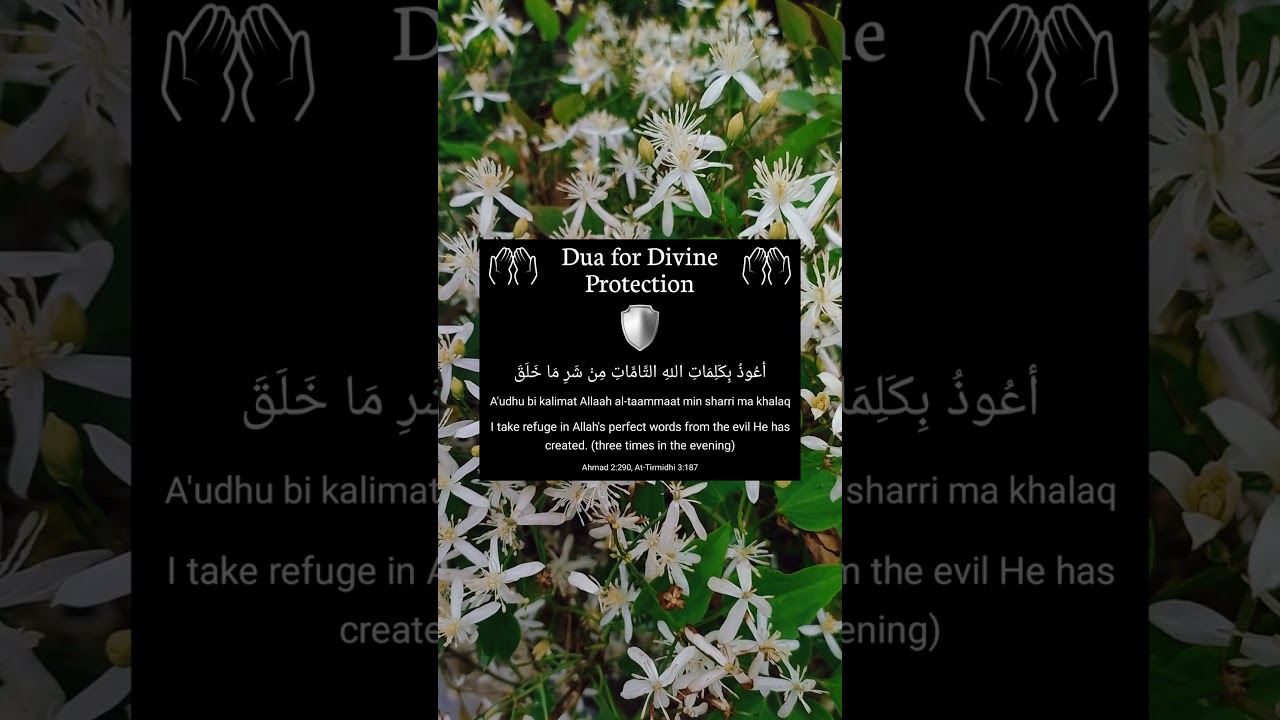Dua for Divine Protection ✨🛡