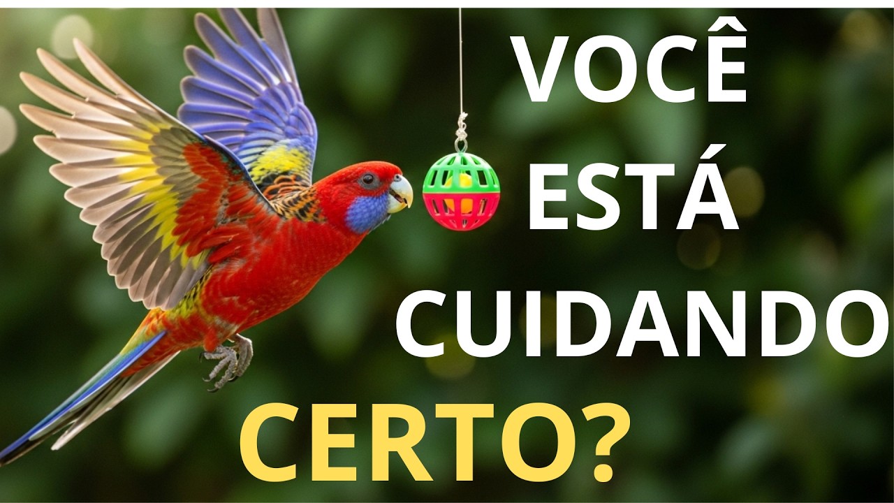 Como Criar Rosela em Casa Cuidados Essenciais