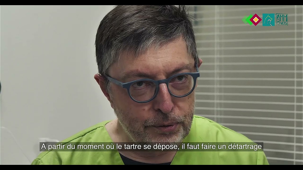 Détartrer mon animal ?