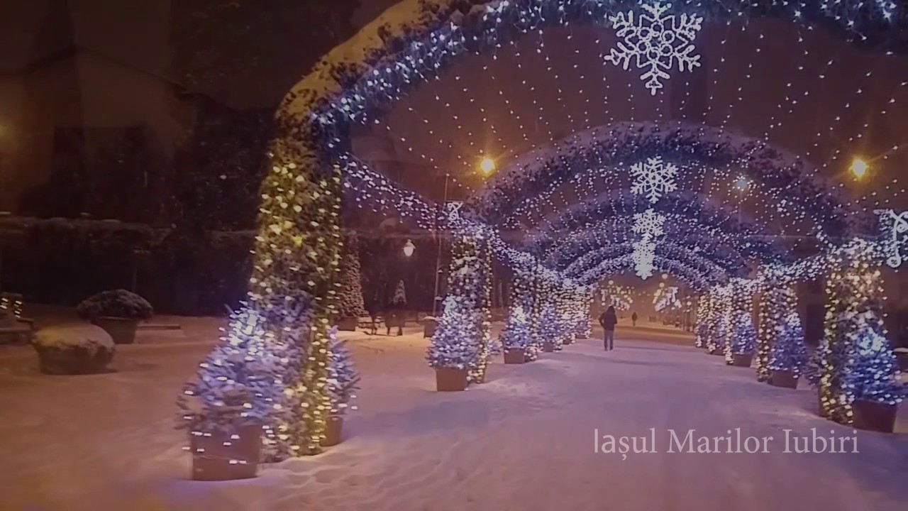 Ninge pe Moldova