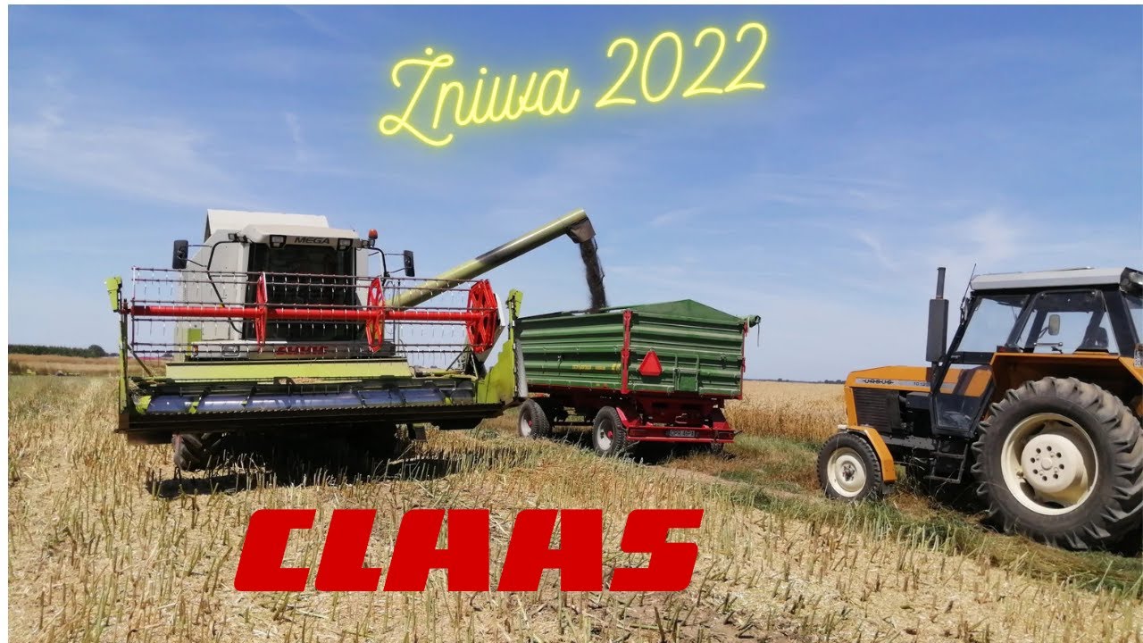 Pierwszy dzień żniw 2022 Rzepak Claas Mega 350 Arion 440 Ursus 1012