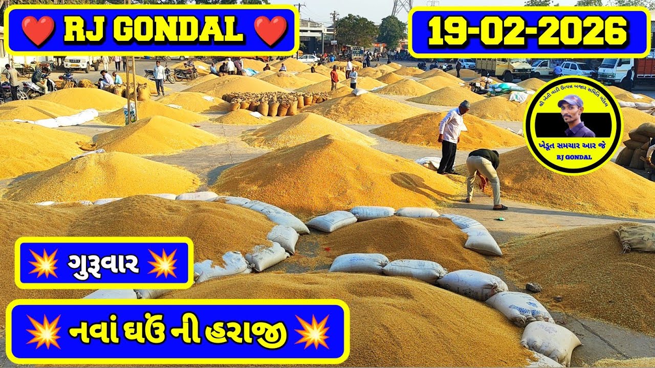 નવા ઘઉં ના ભાવ | 18-02-2026 | ગોંડલ નવા ઘઉંના ભાવ | Wheat Market Price | RJ Gondal Marketing Yard