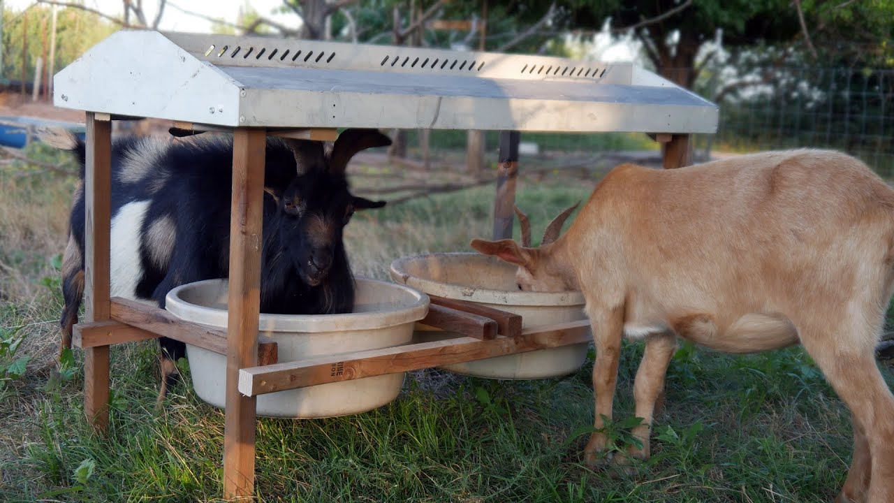 Will This DIY Roof Keep My Goat Food Dry?