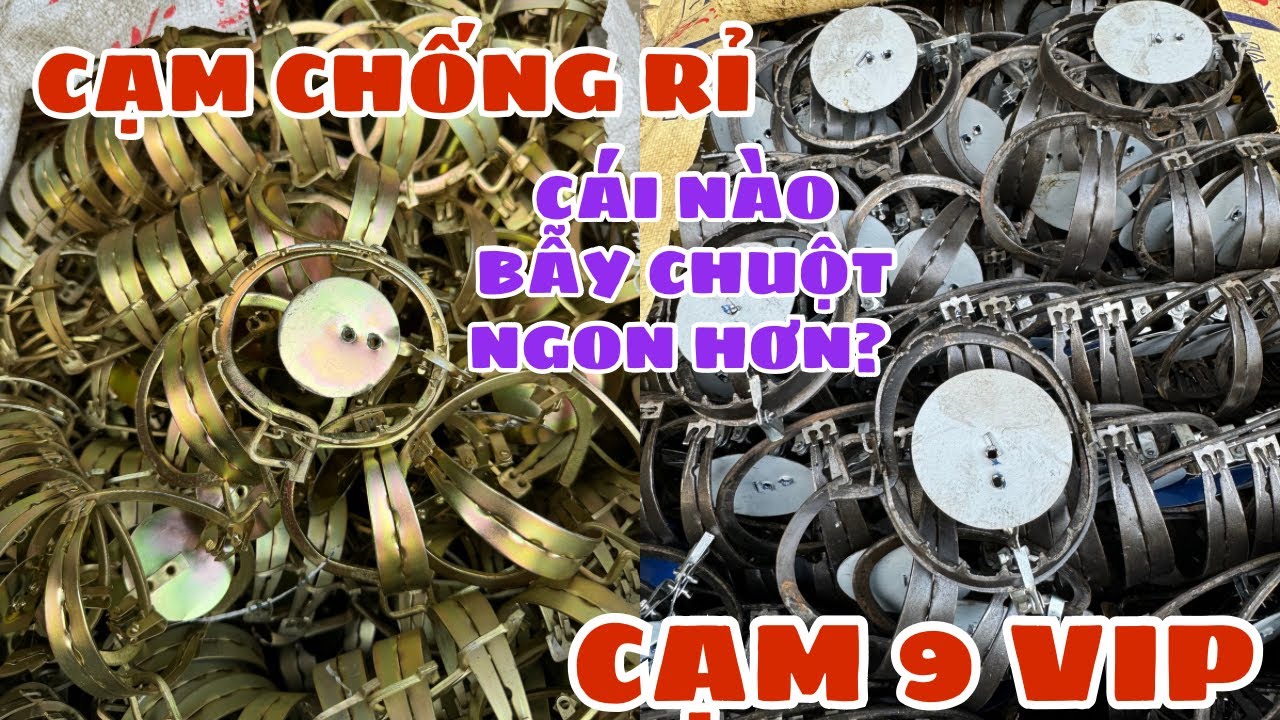 So sánh 2 mẫu cạm bẫy chuột 9cm loại mới nhất 2026 - bẫy kẹp 9cm VIP bàn to với cạm chống rỉ 
