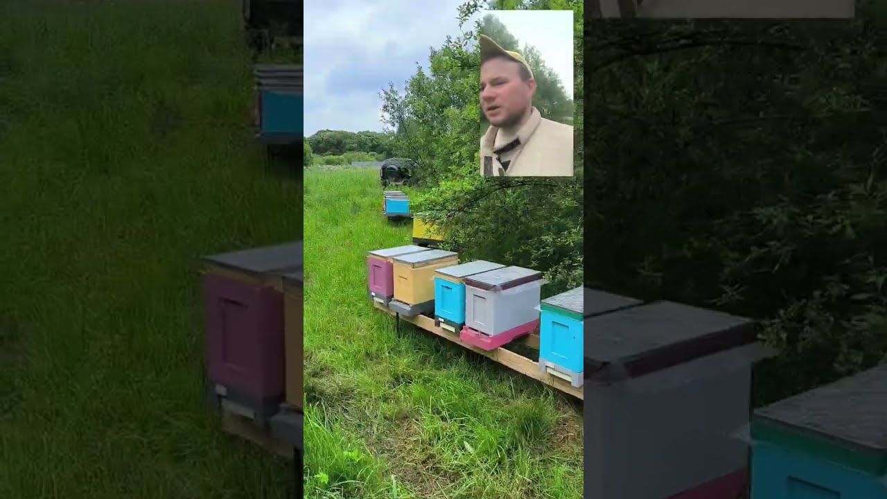 Обстановка на пасеке