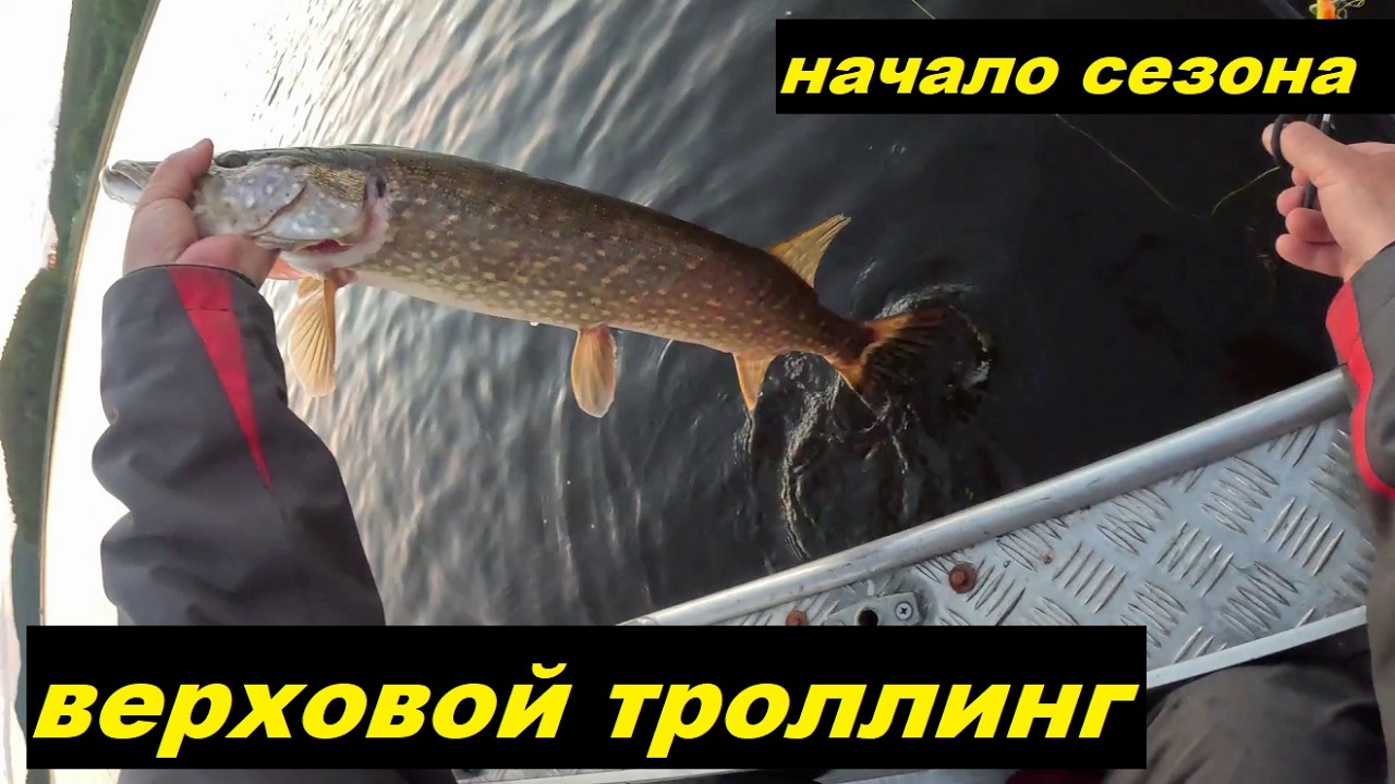 Верховой троллинг начала сезона 26. Воблеры Терве.