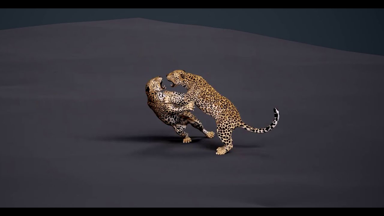 DemoReel_short