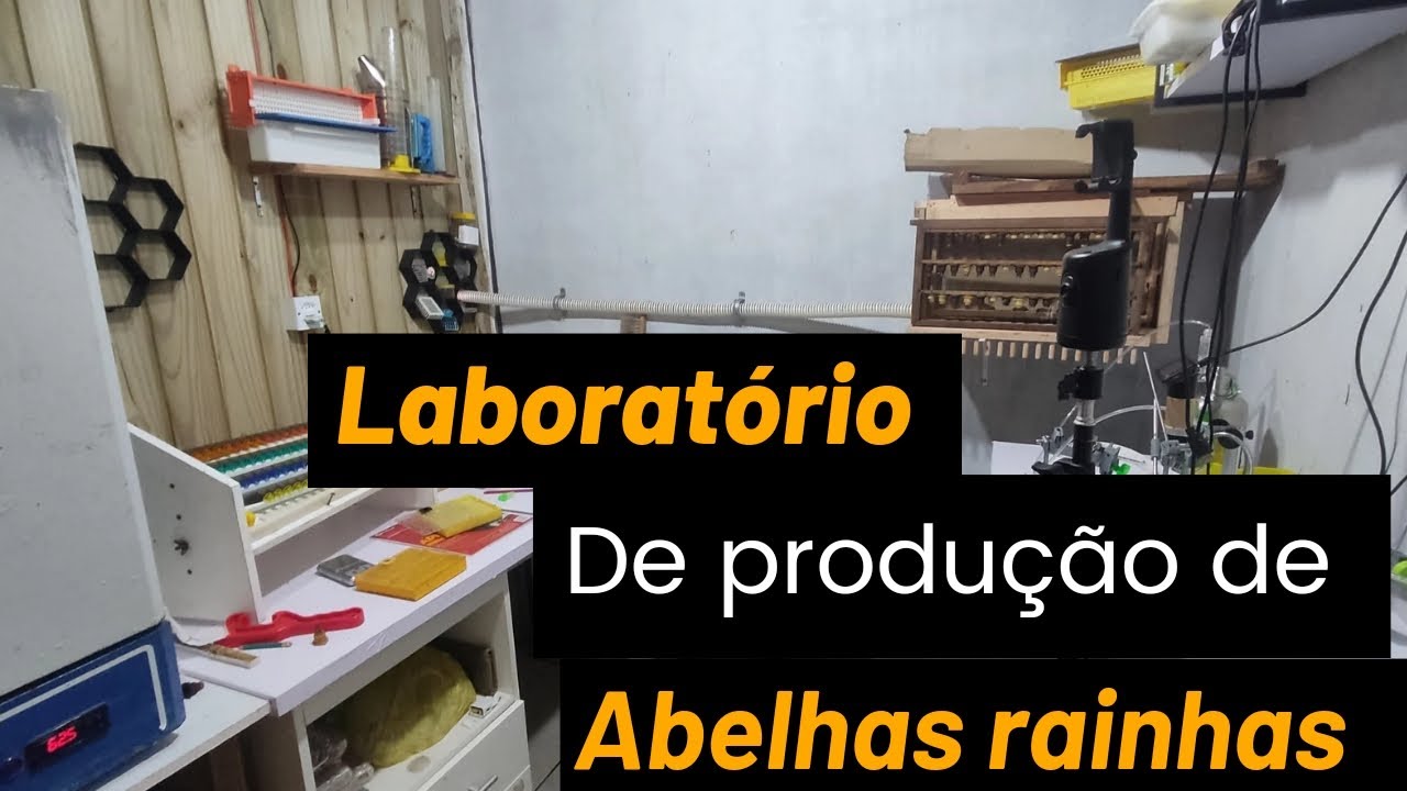 Laboratório de produção de abelhas rainhas e melhoramento genético.