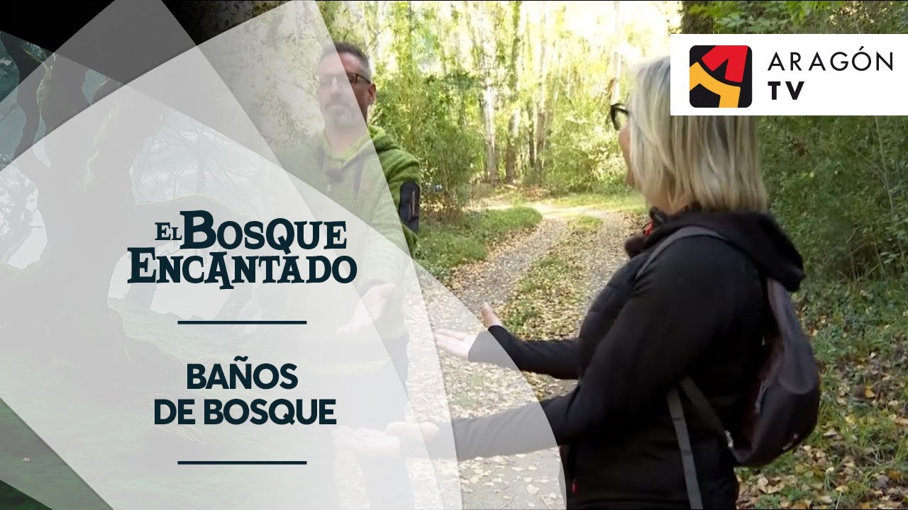 Baños de bosque | SIERRA DE GÚDAR